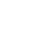 renault occasion